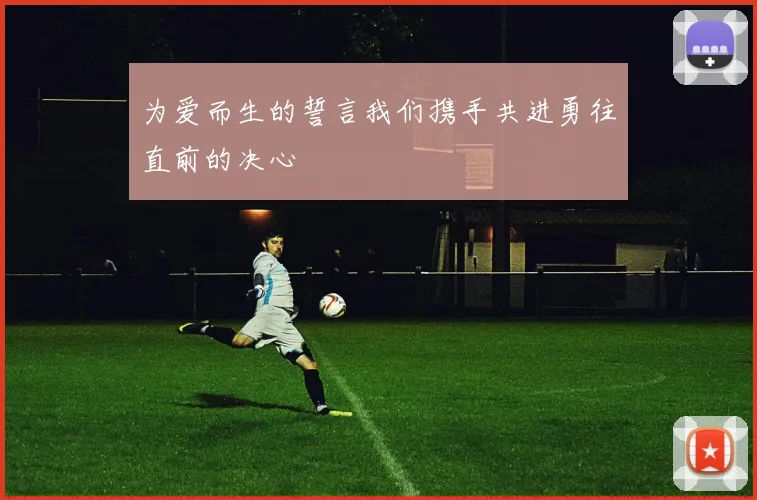 为爱而生的誓言我们携手共进勇往直前的决心